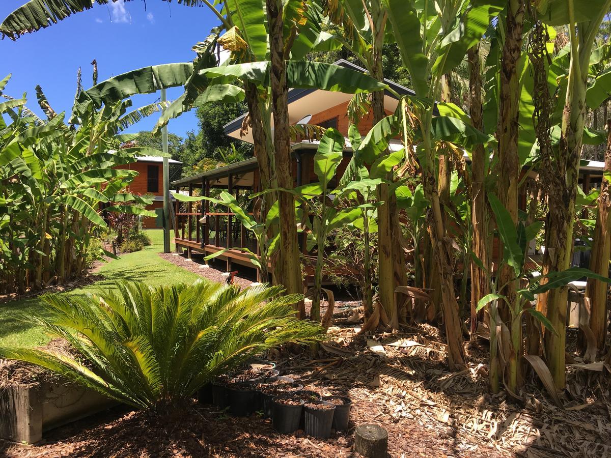 Kin Kin Cottage Retreat ภายนอก รูปภาพ